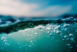 close up photo of body of water